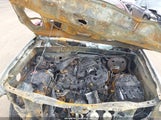 Toyota Tacoma Sr5 V6 3TMCZ5AN9JM170883 photo