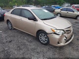 Toyota Corolla Le JTDBU4EE6B9155305 fotografie
