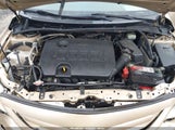 Toyota Corolla Le JTDBU4EE6B9155305 fotografie