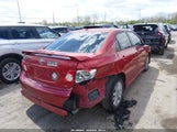 Toyota Corolla S 1NXBU4EE6AZ265245 снимка