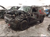 Jeep Renegade Deserthawk 4X4 ZACCJBCB7HPF70425 снимка