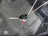 Miniaturka zdjęcia 11