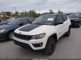 Jeep Compass Trailhawk 4X4 3C4NJDDBXKT645749 снимка
