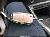 Miniaturka zdjęcia 11