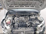 Toyota Corolla Le 5YFEPRAE5LP100461 снимка