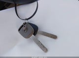 Miniaturka zdjęcia 11