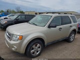 Ford Escape Xlt 1FMCU0D78AKC49365 снимка