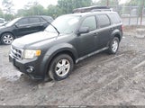 Ford Escape Xlt 1FMCU03G09KD01195 снимка
