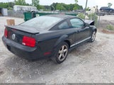Ford Mustang V6 Deluxe/V6 Premium 1ZVHT80N985173807 снимка