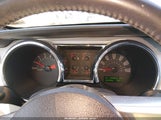 Ford Mustang V6/V6 Premium 1ZVHT84N495116636 photo