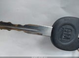 Miniaturka zdjęcia 11