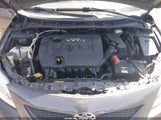 Toyota Corolla Le 1NXBU40E29Z156445 снимка