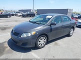 Toyota Corolla Le 1NXBU40E29Z156445 снимка