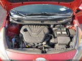 Miniaturka zdjęcia 10