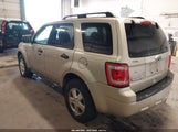 Ford Escape Xlt 1FMCU0D72AKC63861 снимка