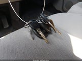 Miniaturka zdjęcia 11
