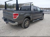 Ford F-150 Xlt 1FTFW1EF0EFA74356 снимка