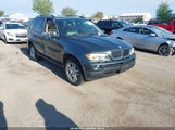 BMW X5 3.0I 5UXFA13575LY10668 снимка
