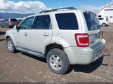 Miniaturka zdjęcia 3