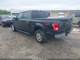 Ford F-150 Xlt 1FTEW1EGXFFC04682 снимка