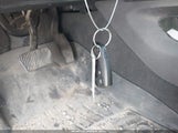 Miniaturka zdjęcia 11