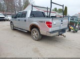 Ford F-150 Fx4/Harley-Davidson/King Ranch/Lariat/Platinum/Xl/Xlt 1FTFW1EV8AKA76283 photo