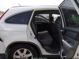Honda Cr-V Se 5J6RE4H42BL092926 снимка