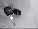 Miniaturka zdjęcia 11