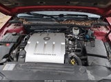 Miniaturka zdjęcia 10