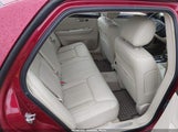 Miniaturka zdjęcia 8