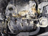 Kia Optima Ex 5XXGN4A78FG391022 снимка