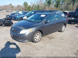 Toyota Corolla Le JTDBL40E09J050066 снимка