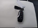 Miniaturka zdjęcia 11