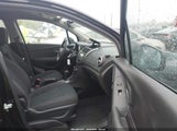 Miniaturka zdjęcia 5