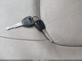 Miniaturka zdjęcia 11