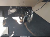 Subaru Outback 3.6R Limited 4S4BSENC9H3251396 снимка