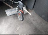 Miniaturka zdjęcia 11