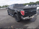 Ford F-150 Fx4/Harley-Davidson/King Ranch/Lariat/Platinum/Xl/Xlt 1FTFW1EV7AFB60264 photo