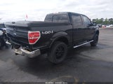 Ford F-150 Fx4/Harley-Davidson/King Ranch/Lariat/Platinum/Xl/Xlt 1FTFW1EV7AFB60264 photo