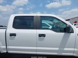 Ford F-150 Xl 1FTEW1EB2KKC24835 снимка