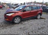 Ford Escape S 1FMCU0F72EUB70538 fotografie