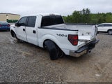 Ford F-150 Xlt 1FTFW1ET0EKE93028 снимка