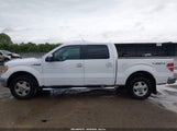 Ford F-150 Fx4/Harley-Davidson/King Ranch/Lariat/Platinum/Xl/Xlt 1FTFW1EV9AKA48654 снимка