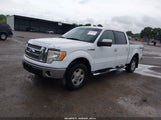 Ford F-150 Fx4/Harley-Davidson/King Ranch/Lariat/Platinum/Xl/Xlt 1FTFW1EV9AKA48654 photo