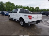 Ford F-150 Fx4/Harley-Davidson/King Ranch/Lariat/Platinum/Xl/Xlt 1FTFW1EV9AKA48654 photo