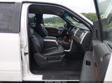 Ford F-150 Fx4/Harley-Davidson/King Ranch/Lariat/Platinum/Xl/Xlt 1FTFW1EV9AKA48654 photo