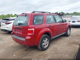 Ford Escape Xls 1FMCU0C7XAKD25623 снимка