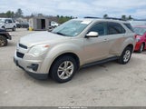 Chevrolet Equinox 1Lt 2GNFLEEK6C6181505 снимка