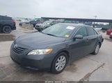 Toyota Camry Le 4T1BE46K19U303462 снимка