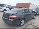 Toyota Camry Le 4T1BE46K19U303462 снимка